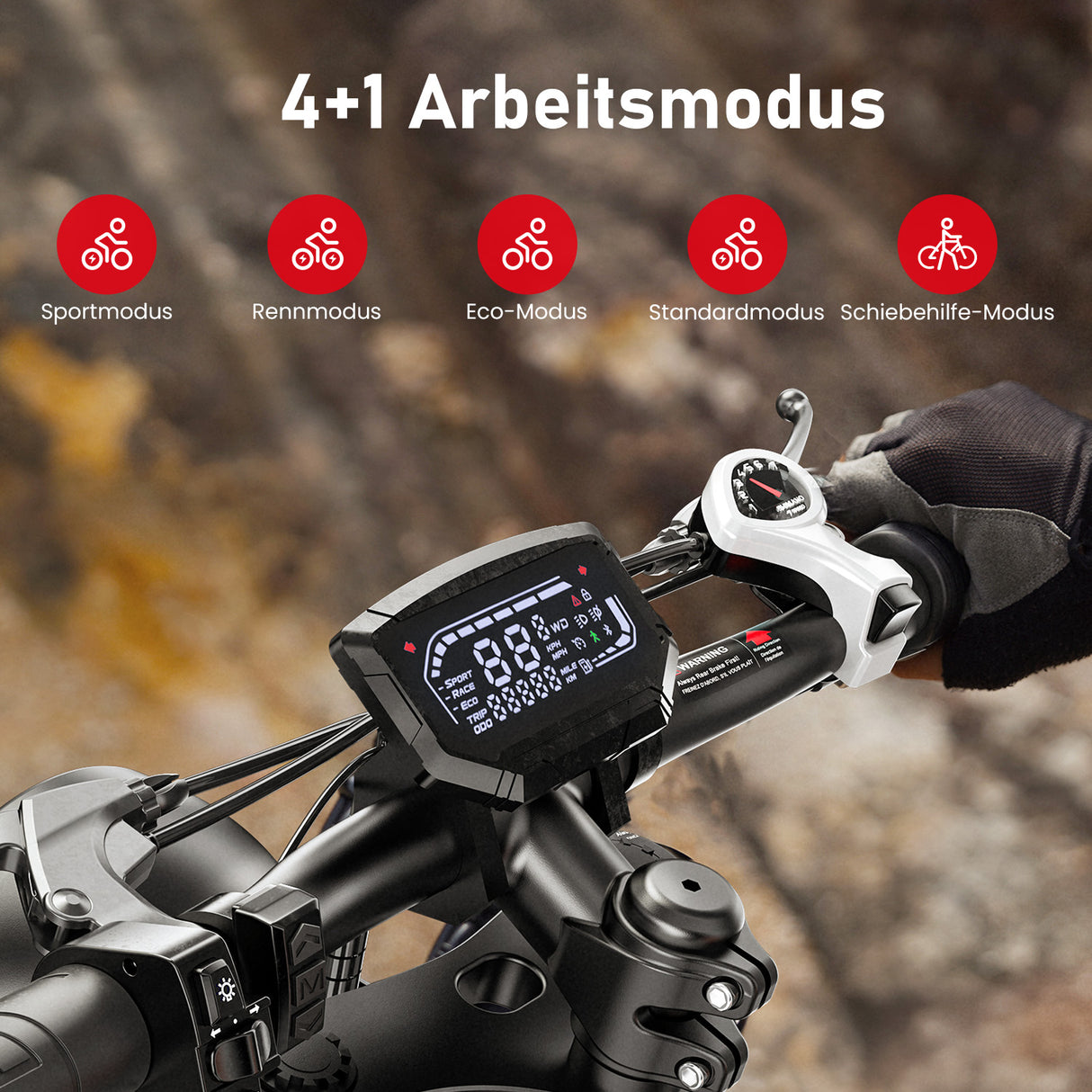 ISINWHEEL R6 ELECTRIC BIKES