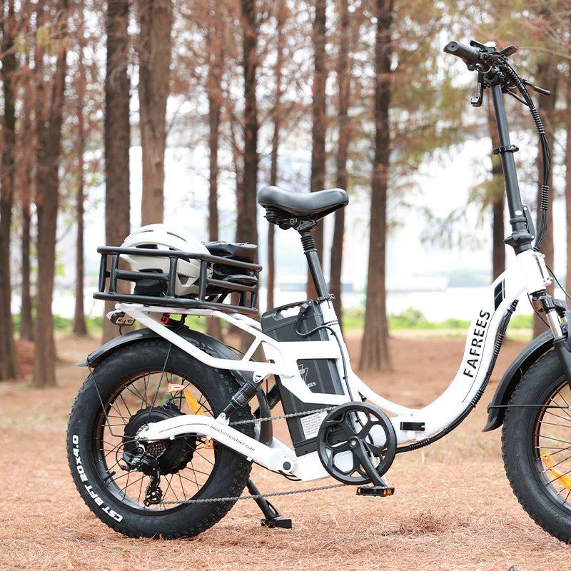 FAFREES Rear Rack Basket