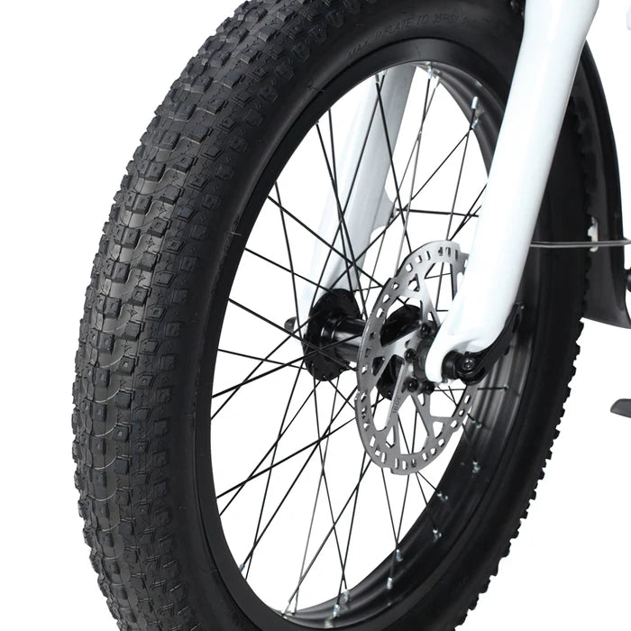 PHILODO TRAVELLER FAMILY AND CARGO BIKE