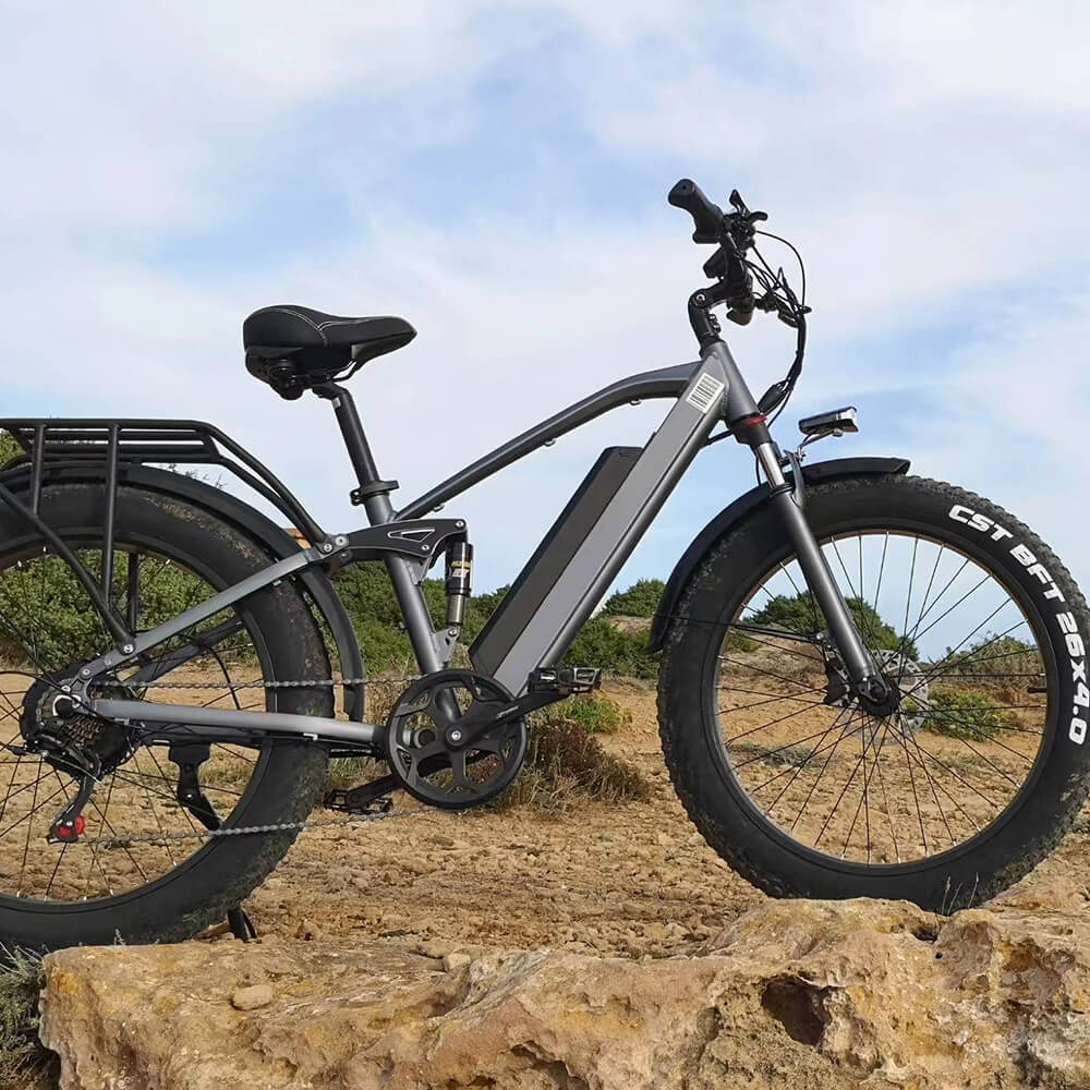 CMACEWHEEL TP26 FAT E-MTB