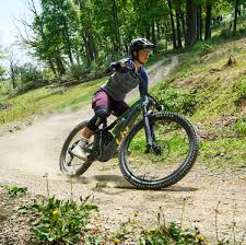 Choosing a Mountain Electric Bike