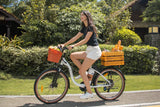DYU C6 Pro 26 Inch City Electric Bike
