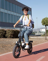 ISINWHEEL U4 ELECTRIC BIKE