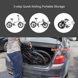 SAMEBIKE 20LVXD30-II