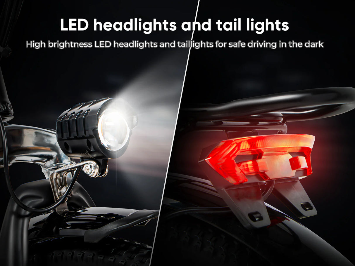 SAMEBIKE 20LVXD30-II