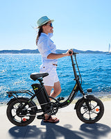 ISINWHEEL U4 ELECTRIC BIKE