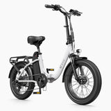 DYU C9 20 Inch Long-Range Ebike