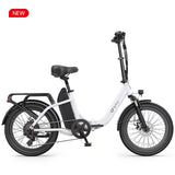 DYU C9 20 Inch Long-Range Ebike