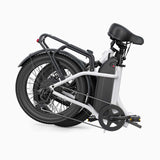 DYU C9 20 Inch Long-Range Ebike