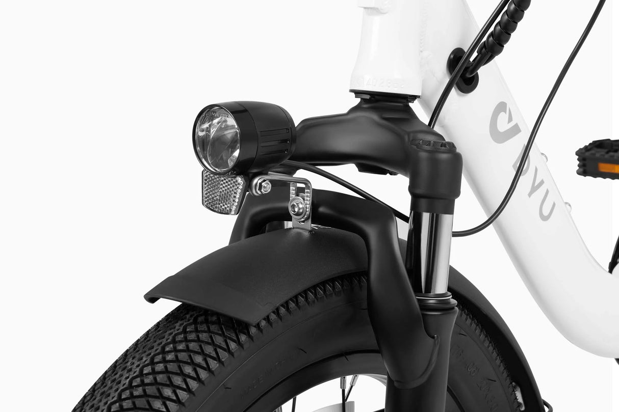 DYU C9 20 Inch Long-Range Ebike