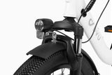 DYU C9 20 Inch Long-Range Ebike