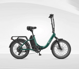 DYU C9 20 Inch Long-Range Ebike