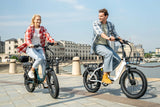 DYU C9 20 Inch Long-Range Ebike