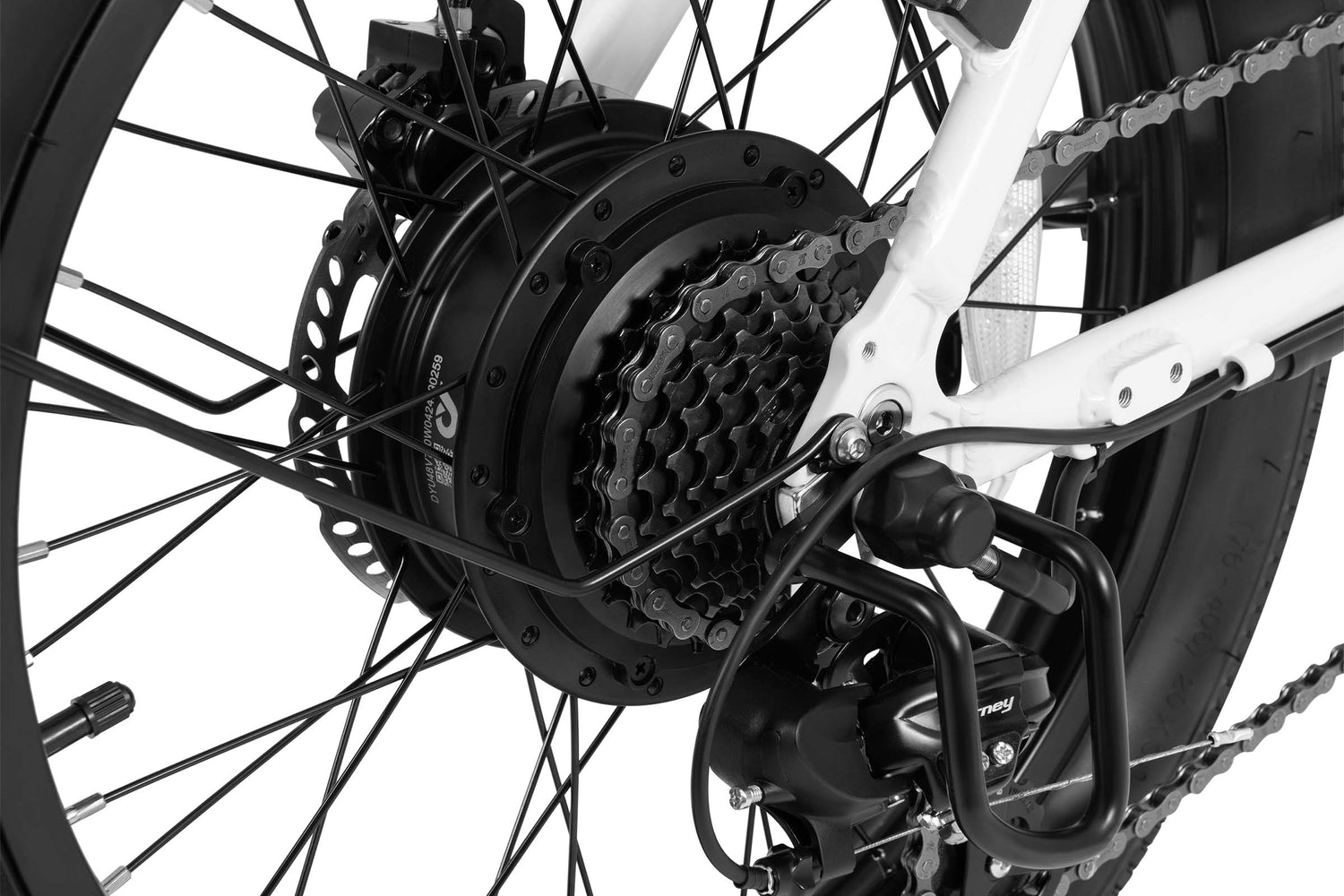 DYU C9 20 Inch Long-Range Ebike