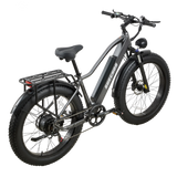 Burchda RX20