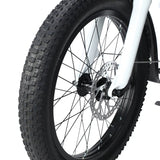 PHILODO TRAVELLER FAMILY AND CARGO BIKE