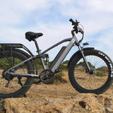 CMACEWHEEL TP26 FAT E-MTB