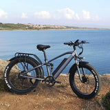 CMACEWHEEL TP26 FAT E-MTB