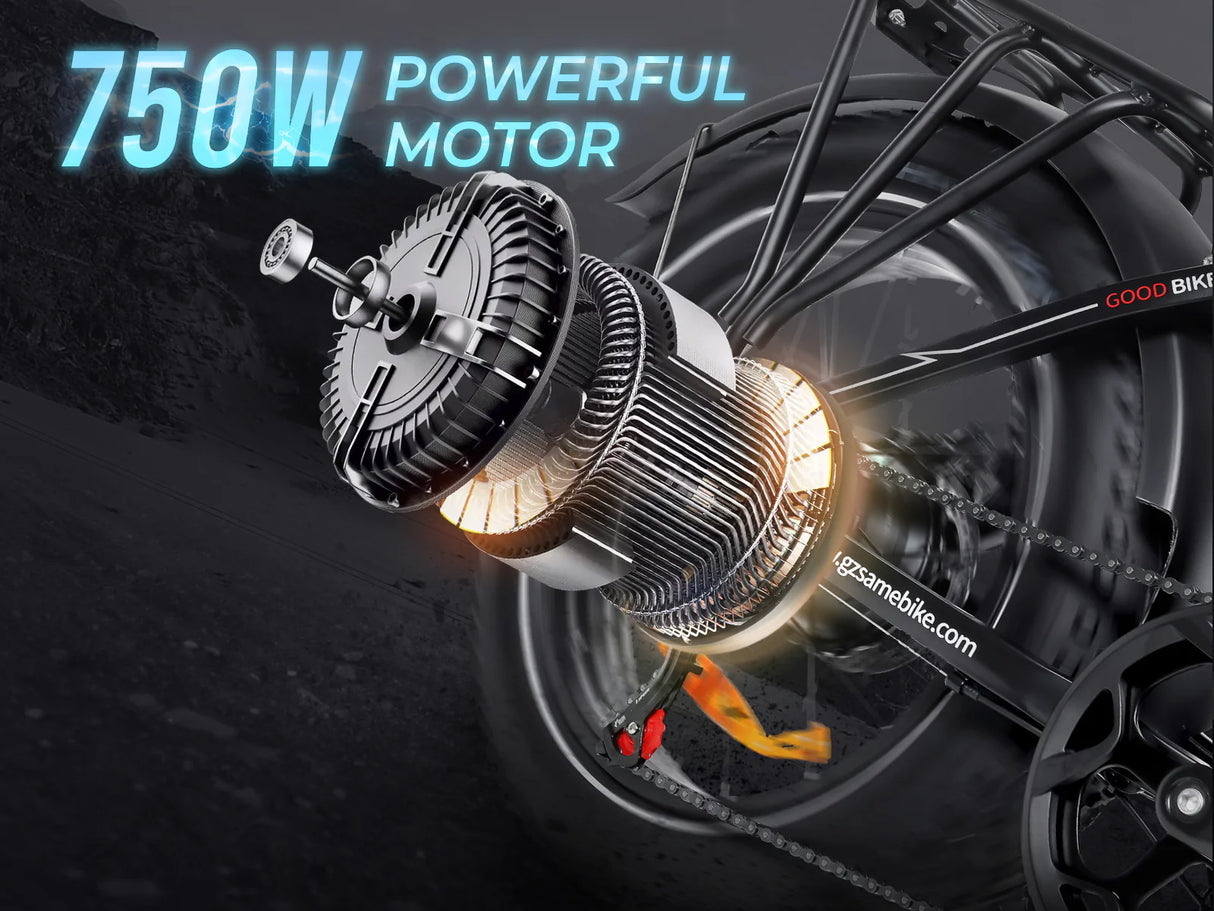 SAMEBIKE LOTDM200-II