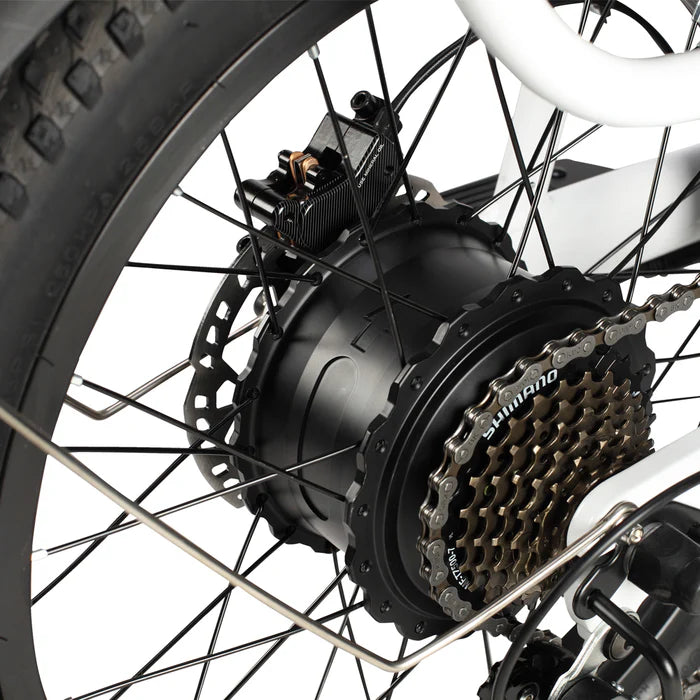 PHILODO TRAVELLER FAMILY AND CARGO BIKE