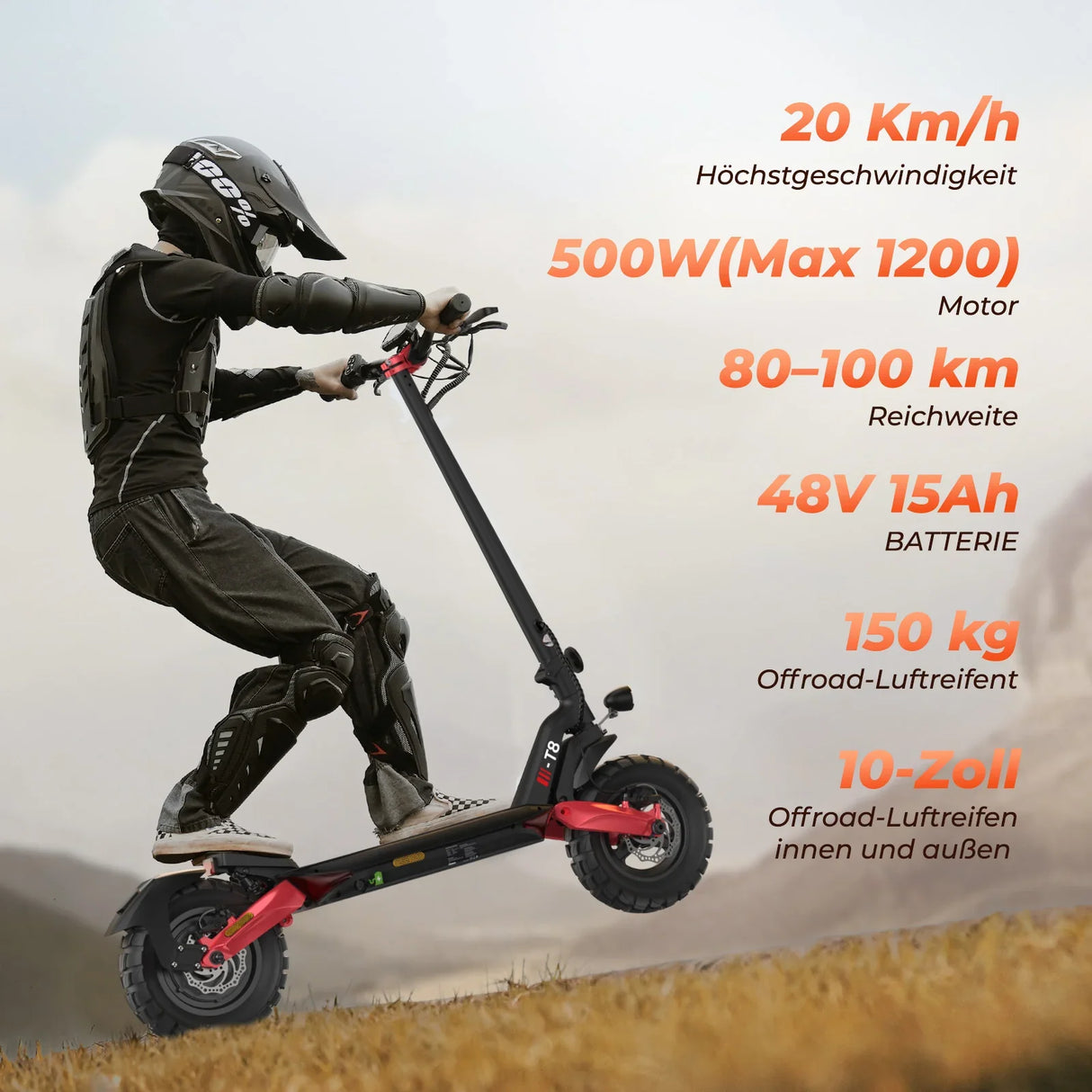 ISINWHEEL T8
